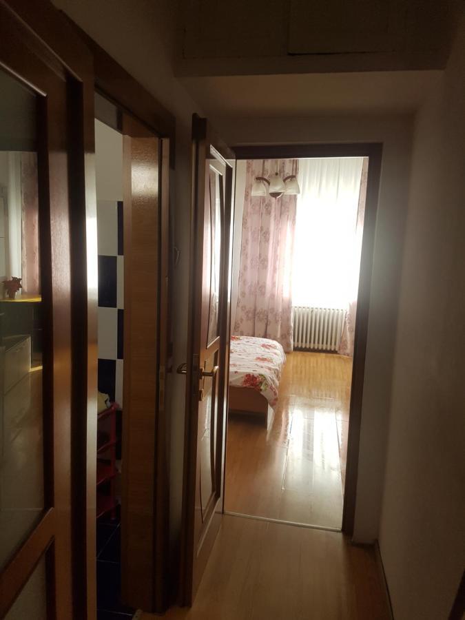 Studio Andreea Appartement Boekarest Buitenkant foto